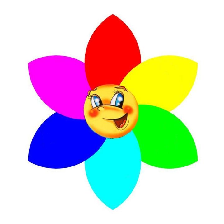Flor de papel de cores con seis pétalos, simbolizando cada un unha dieta mono